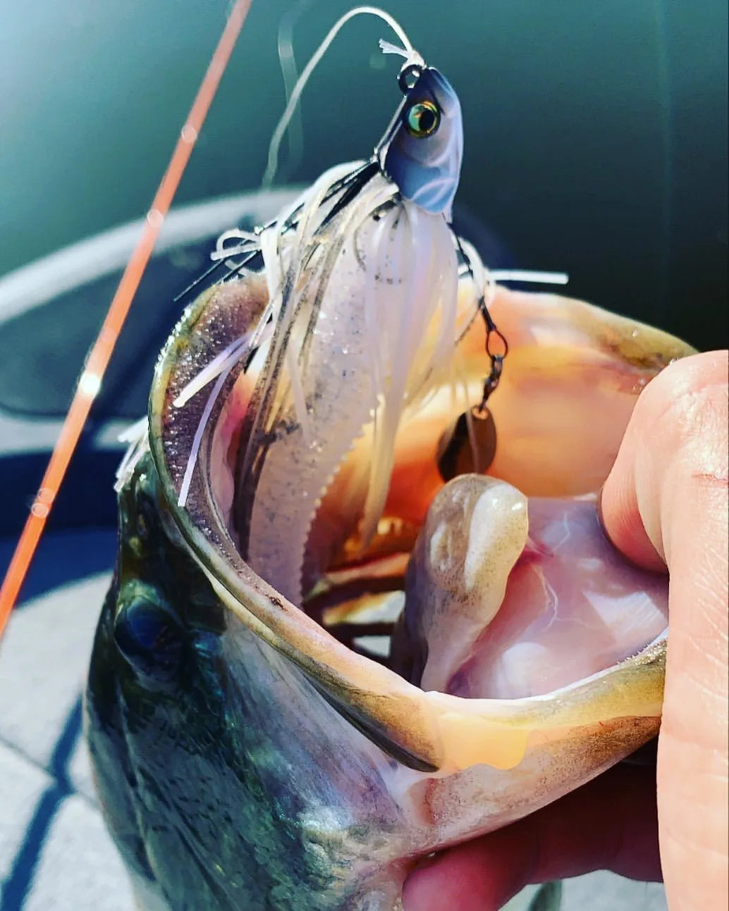 13.5G Spinner Bait Bass Jig Chatter Bait Fishing Lure Chatterbait Fishing Kit Wobblers for Bass Fishing Tackle Fishing Spoon